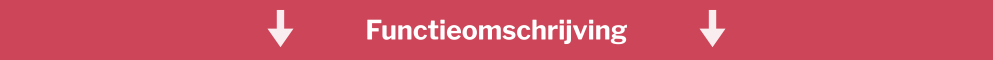 neita banner met functieomschrijving